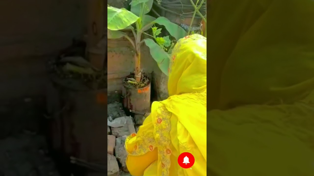 brihaspativar status vishu ji 