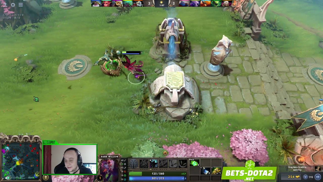 29 ноября. Dark Willow. G-spott, Ростовский Феникс.