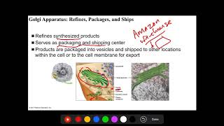 Human Biology-Chapter 3-Part 2