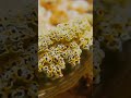 От мгновенной жизни к вечности: Преобрази свою жизнь