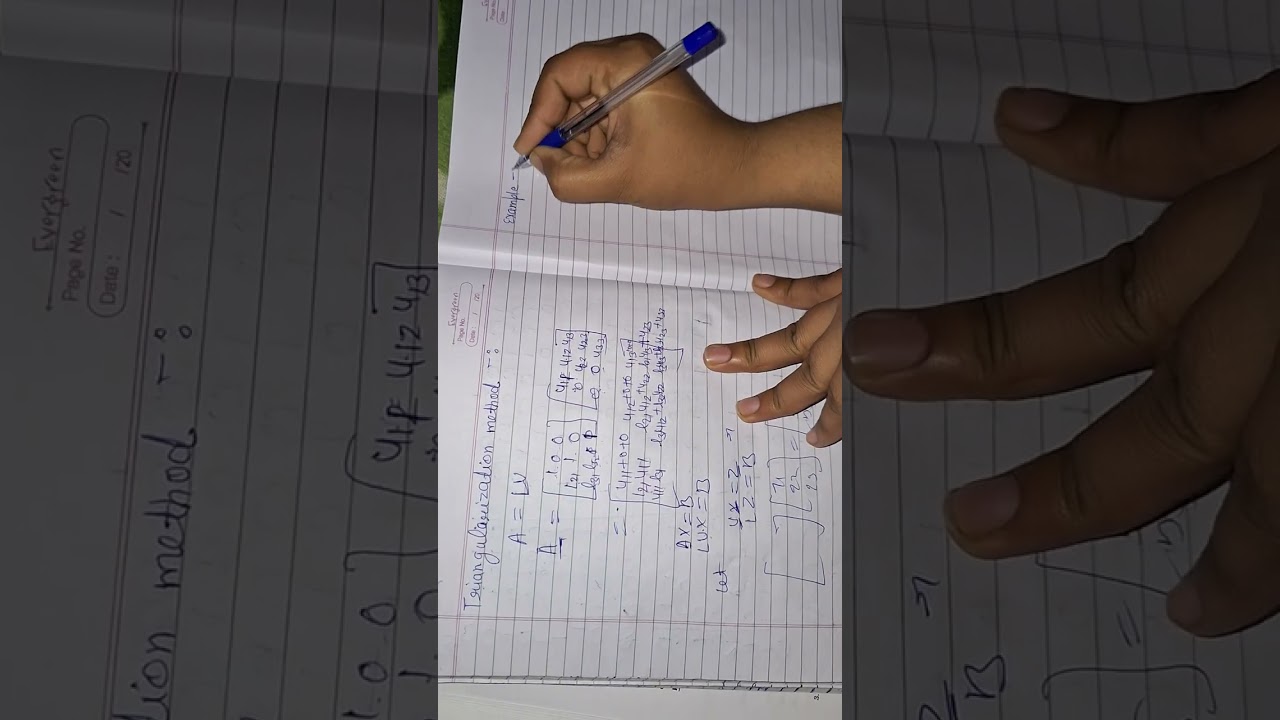 BSC MATH chapter simultaneous linear algebra equations  ex. 3.3 example Nep math Numerical analysis 