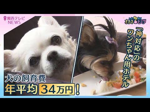 犬の飼育費は年平均34万円  プレミアム化進む「ペット関連商品」