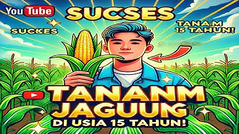 Pengusaha Muda 15 Tahun, Sukses Hasilkan RATUSAN JUTA Dari Bertani Tumpang Sari Jagung Dan Cabe