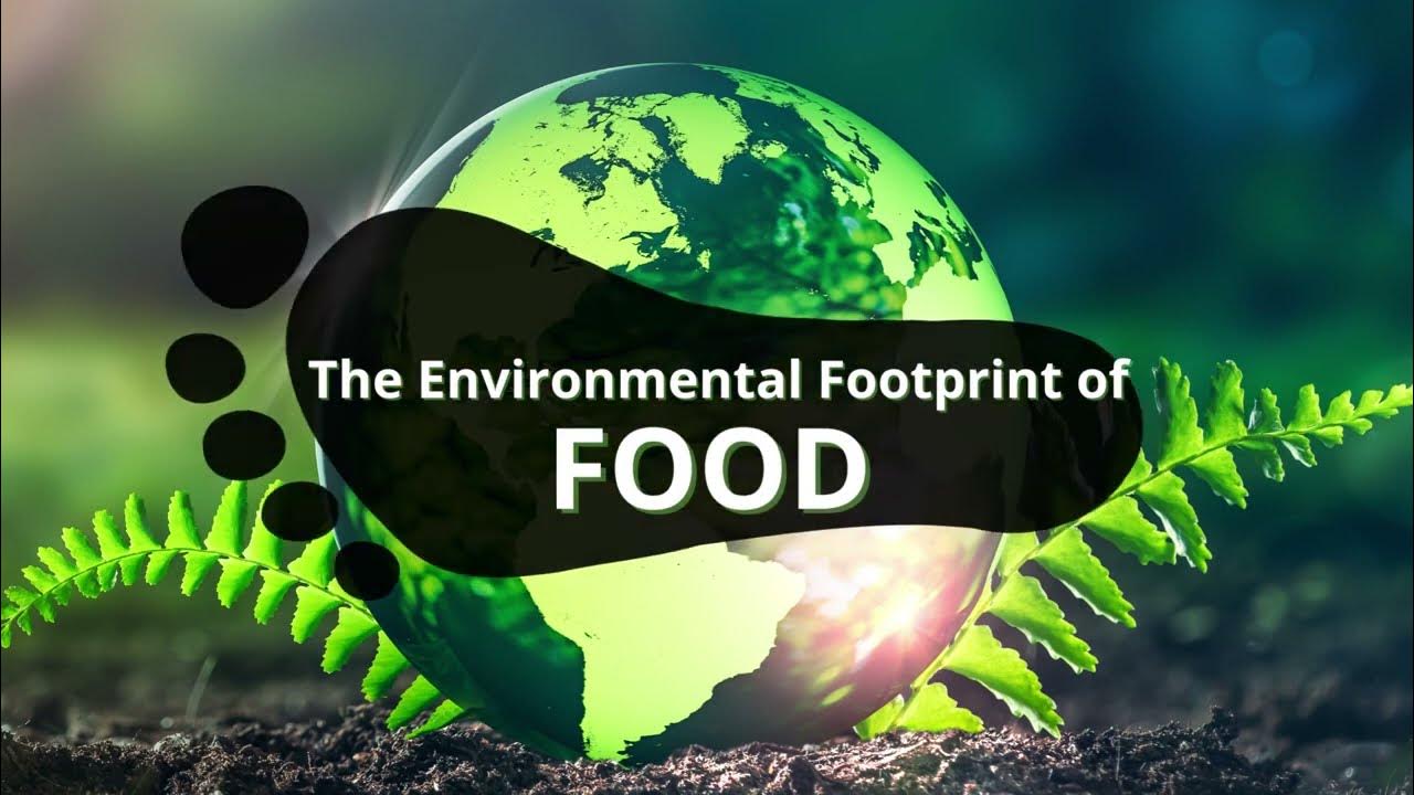 What Contributes to the Environmental Footprint of Food? Biology Diagrams