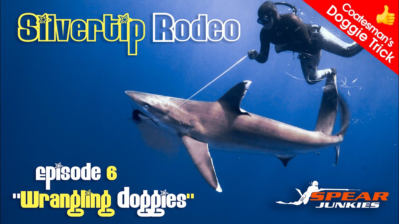 Wrangling Dogtooth Tuna - Silvertip Shark Rodeo - Spearfishing Ep 6