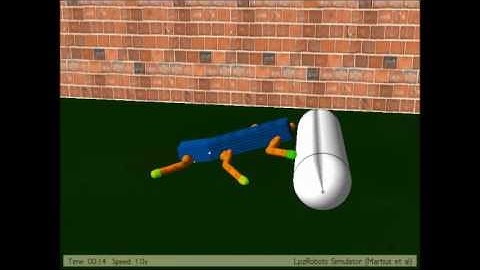 Simulated Dung Beetle Robot under Neural Control: Locomotion and manipulation