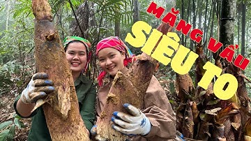Thảo Nguyên Farmer | Trải nghiệm hái măng vầu siêu to cùng chị Mai Tây Bắc
