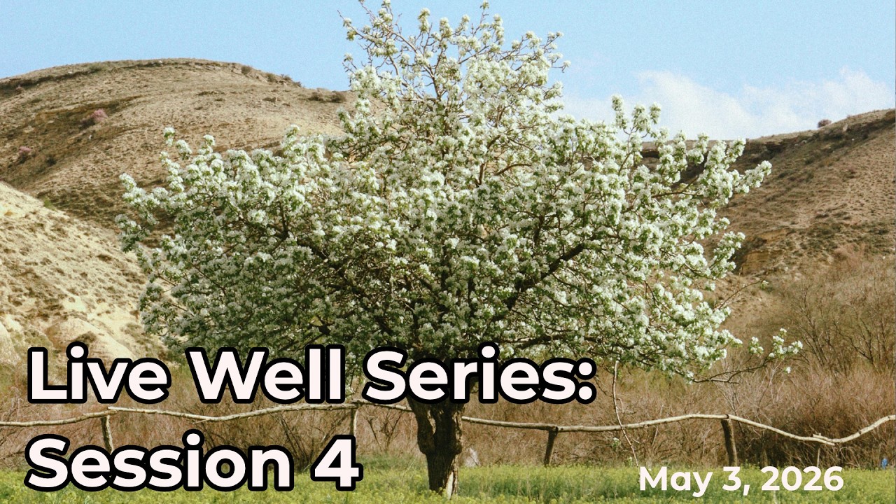 Live Well Series: Session 4