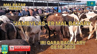 «JAMBYL» AS-ER MAL BAZARY | IRI QARA BAǴALARY 08.10.2023 | МАЛ БАЗАР | ІРІ ҚАРА БАҒАЛАРЫ