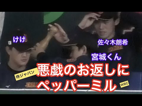 【侍ジャパン】高橋奎二に悪戯されペッパーミルでお返しをする宮城くん