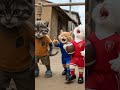 "Success is the result of hard work #cats #ai #kittty #cutecat #catlover#catvideos #catshorts #short