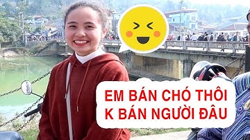 EM  BÁN CHÓ XINH NHẤT CHỢ TÂY BẮC 2020 | CHỢ CHÓ BẮC HÀ LÀO CAI | - X7M - DTVN