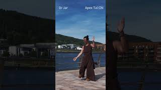 Apex Reflections #apextaichi