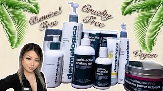 Everything You Need to Know about Dermalogica Skincare Product Review