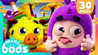 Muddy Oinker Rescue |  Minibods | Mini Oddbods | Baby Oddbods | Funny Cartoons For Kids