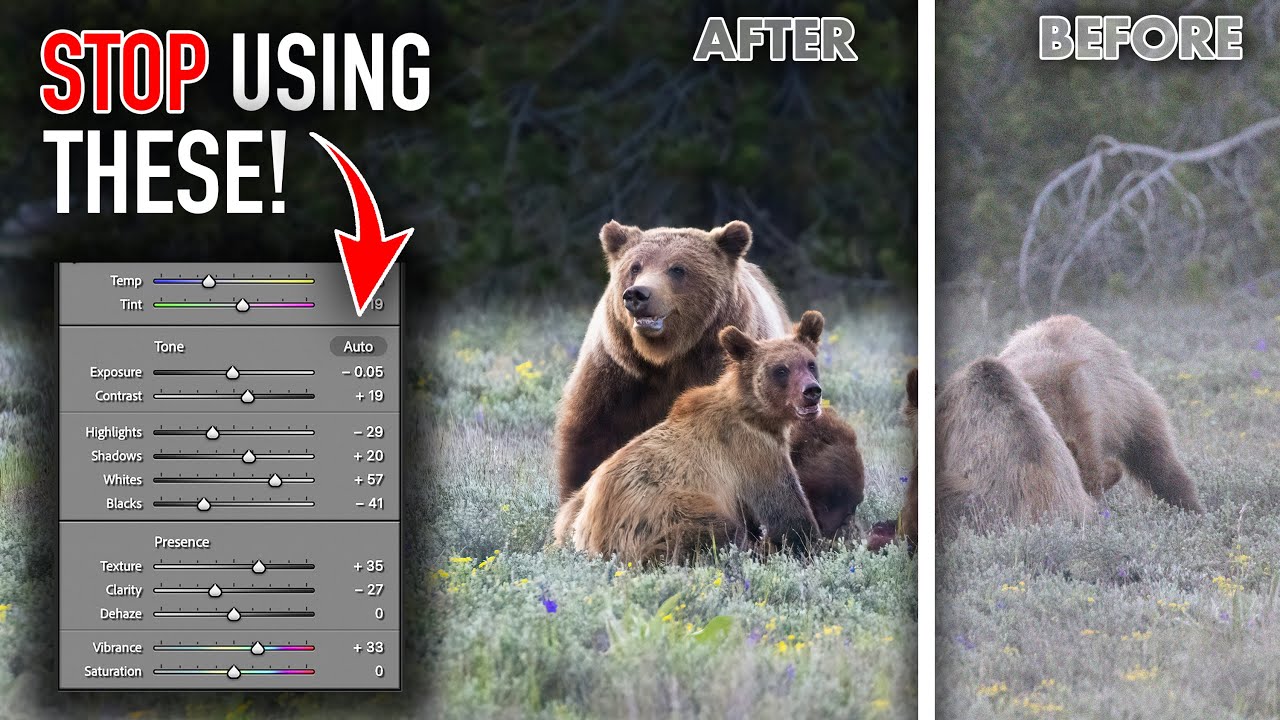 This Editing Secret Will Help You Create BETTER Wildlife Photos (Edit Locally, NOT Globally!)