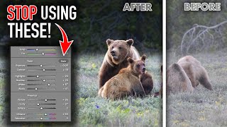 This Editing Secret Will Help You Create BETTER Wildlife Photos (Edit Locally, NOT Globally!) screenshot 1