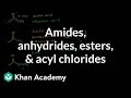 Amides, anhydrides, esters, and acyl chlorides | Organic chemistry | Khan Academy