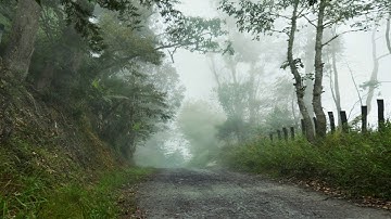 Project Gregus - Reflection of the source (Official Music Video)