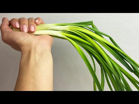 Свежий весенний салат из зеленого лука