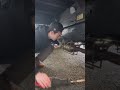 POV: the local catalytic converter theft looks under my truck
