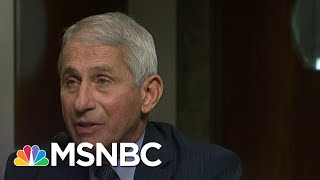 ‘I Challenge That’: Fauci Shuts Down Sen. Paul At Senate Hearing On Herd Immunity In NYC | MSNBC