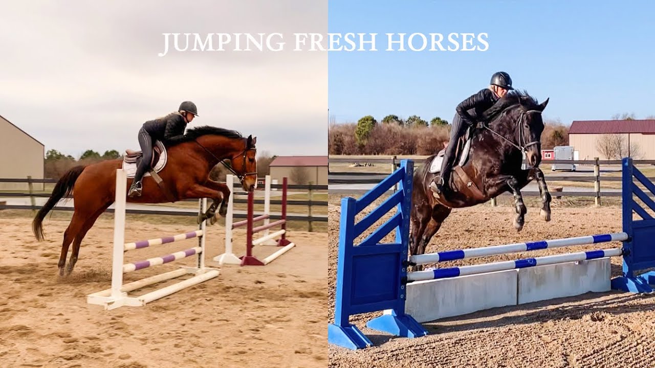 JUMPING FRESH HORSES (BARN VLOG)