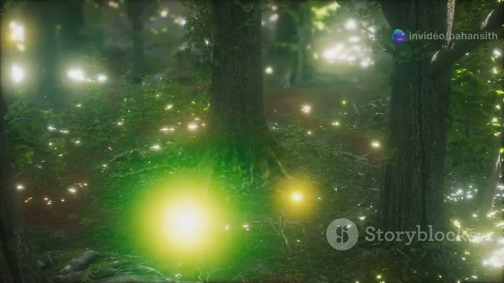 The Magical Light Show of Synchronous Fireflies #NatureLovers#WildlifeMoments#MagicalNature