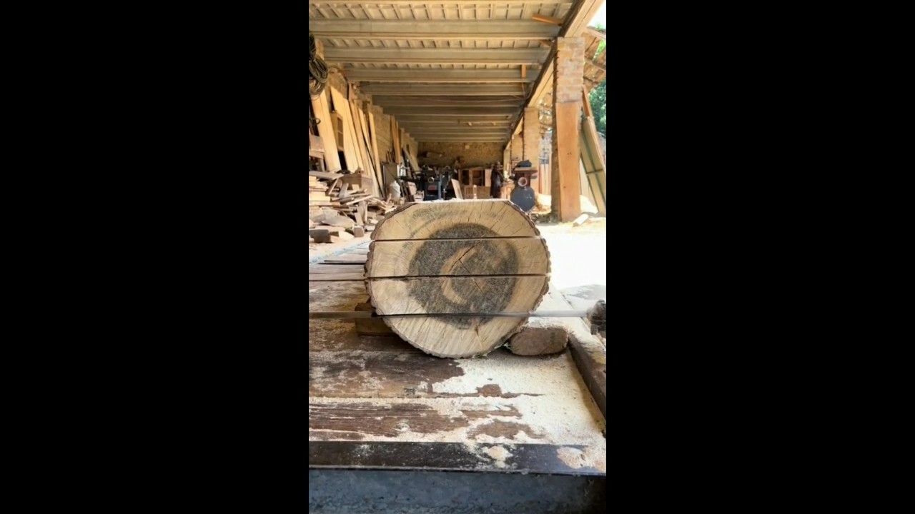 Big Wood Cutting Machine in Action | Heavy Duty Sawmill & Industrial 