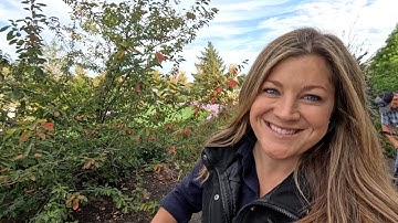 Planting a Random Assortment of Beautiful Plants! 😍🌲🌳 // Garden Answer