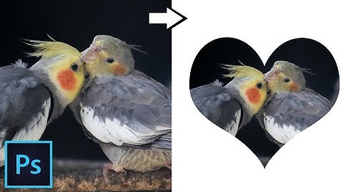 Crop image in a heart shape using photoshop [2 step process]