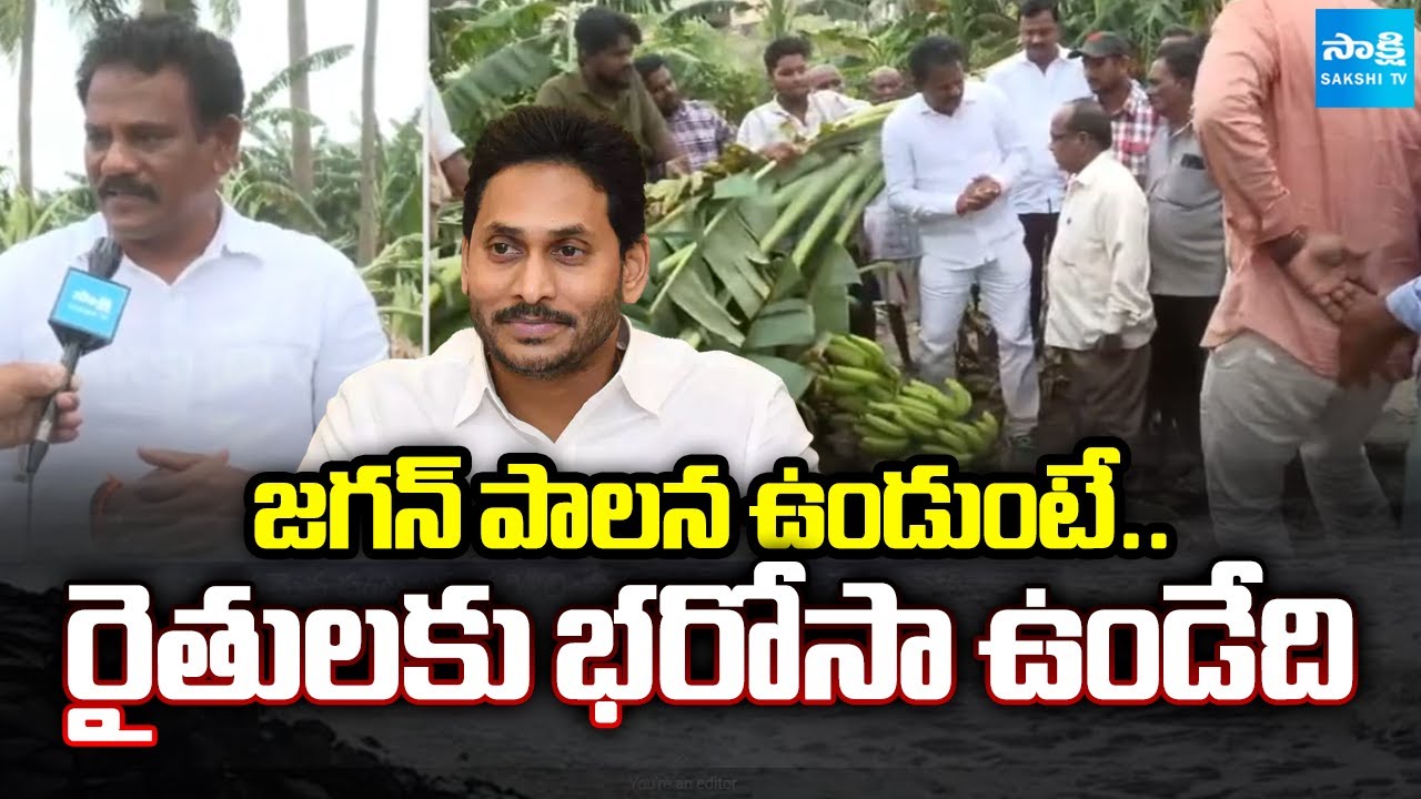 YSRCP Varikuti Ashok Babu Visit Farmers | Farmers Crop Loss Due To Montha Cyclone Effect | Sakshi TV