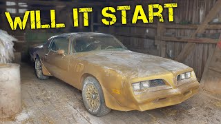 Will this Barn Find Firebird Run and Drive After 30 years ?