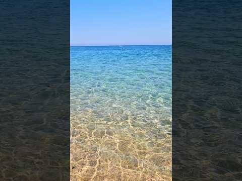 يوم جميل و شاطئ أجمل و عومة جميلة و بحر صافي جدا الجزائر العاصمة