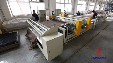 RICHPEACE AUTOMATIC SEWING MACHINE CONTINUOUS FEEDING