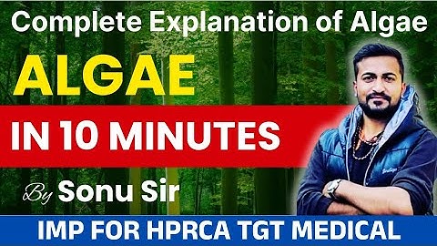 Algae Full Chapter in One Video | Classification, Economic Importance, Examples, and Uses |