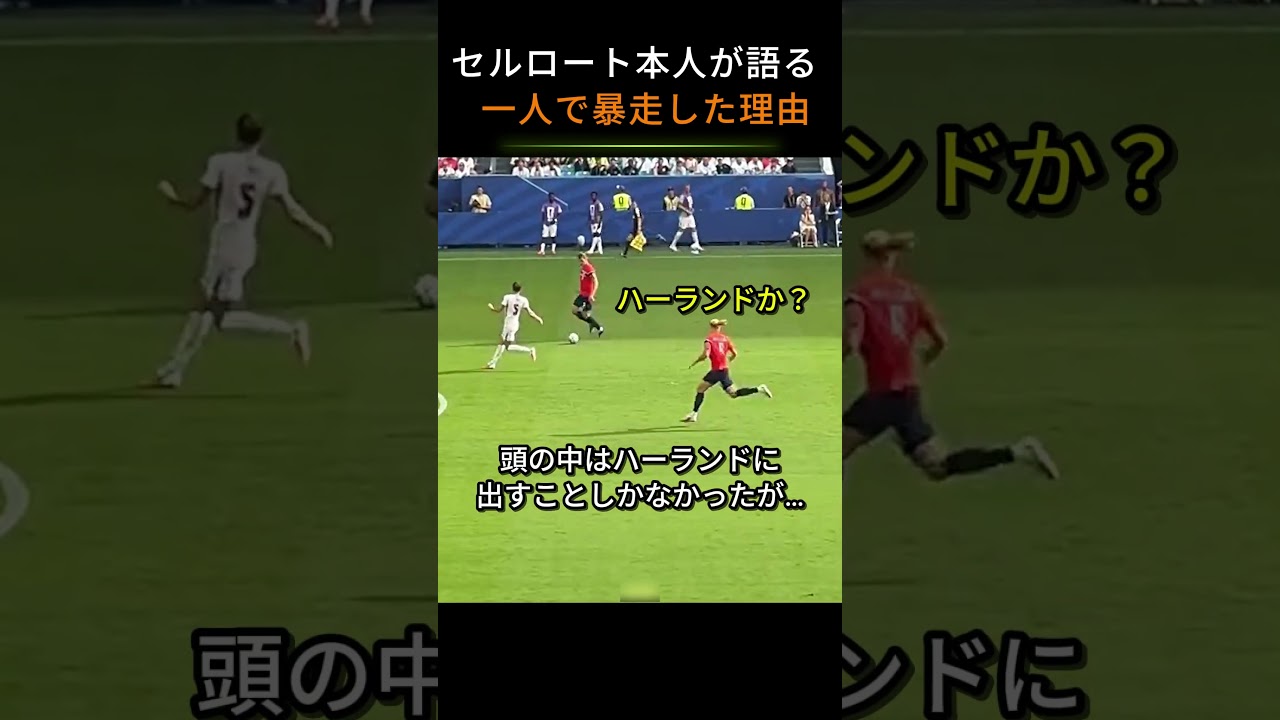 セルロート本人が語る 一人で暴走した理由_
