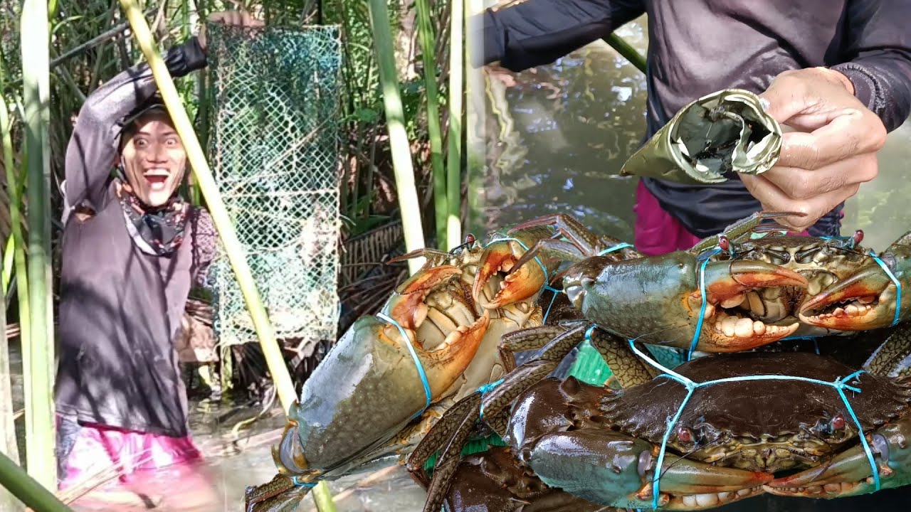 Nanlaki Ang mata Ng Kasama ko Ng Makita Niya Ang laman Ng trap, wasak Ang lata