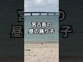 前傾姿勢がクセになる #shortvideo #shorts #short #鳥 #野鳥 #沖縄