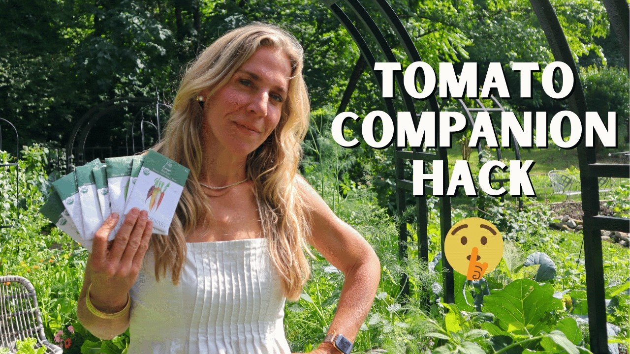 Plant These 8 Tomato Companion Plants for 2x The Harvests!