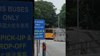 Rare Cameo? ComfortDelgro Zhongtong LCK6126EVG N12 (PD496S) on D2 departing University Town Rare Cameo? ComfortDelgro Zhongtong LCK6126EVG N12 (PD496S) on D2 departing University Town