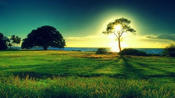 Brian Tyler - Jaybird [Lazarus Project Soundtrack]