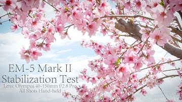 Olympus E-M5 Mark II - Video Test: In Camera Stabilization