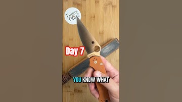 Retesting Day 7️⃣: Spyderco Paramilitary 2 Rex45 #triedandtrueedc #testing #spydercoknives