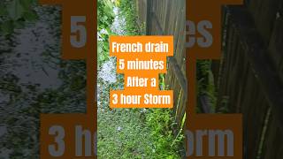French drain 5 Minutes after a Storm| French drain in Action Longwood Fl