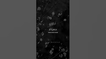 فَٱسْتَجَابَ لَهُمْ رَبُّهُمْ | محمد صديق المنشاوي | سورة آل عمران