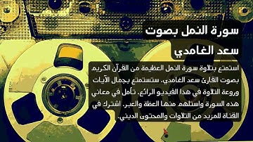 27 - تلاوة خاشعة لسورة النمل بصوت القارئ الرائع سعد الغامدي-سورة النمل سعد الغامدي #saadalghamidi 4k