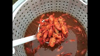 Two Pot Crawfish Steaming method ~ Best Flavor Ever!