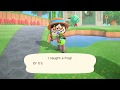 Download Frobert Animal Crossing Frog Villagers Background