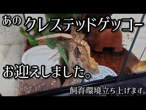 ちゃんねるカワランド】カワモト文明 - YouTube